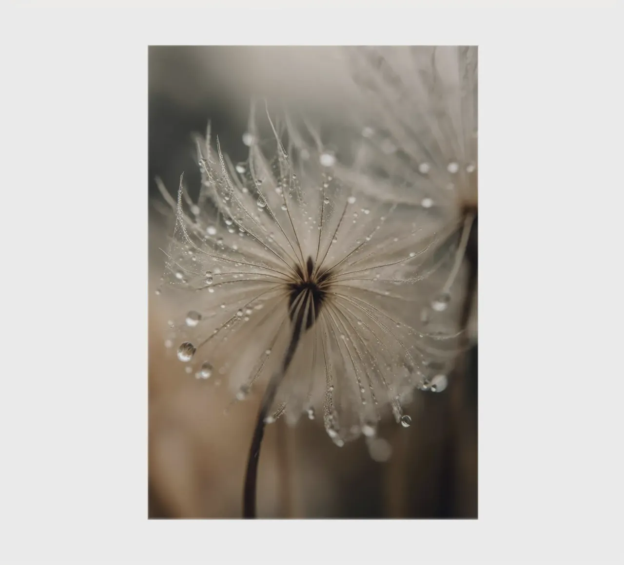 Pastel Nature No 11 Notizbuch von treechild