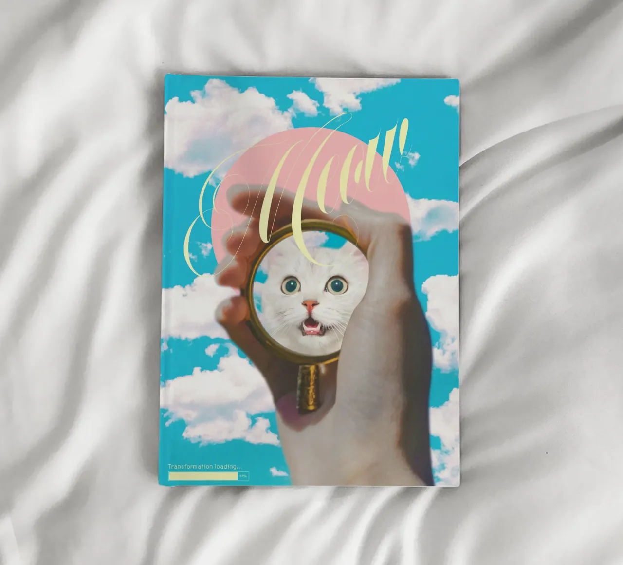 Meow! Cat Transformation notebook by MsGonzalez