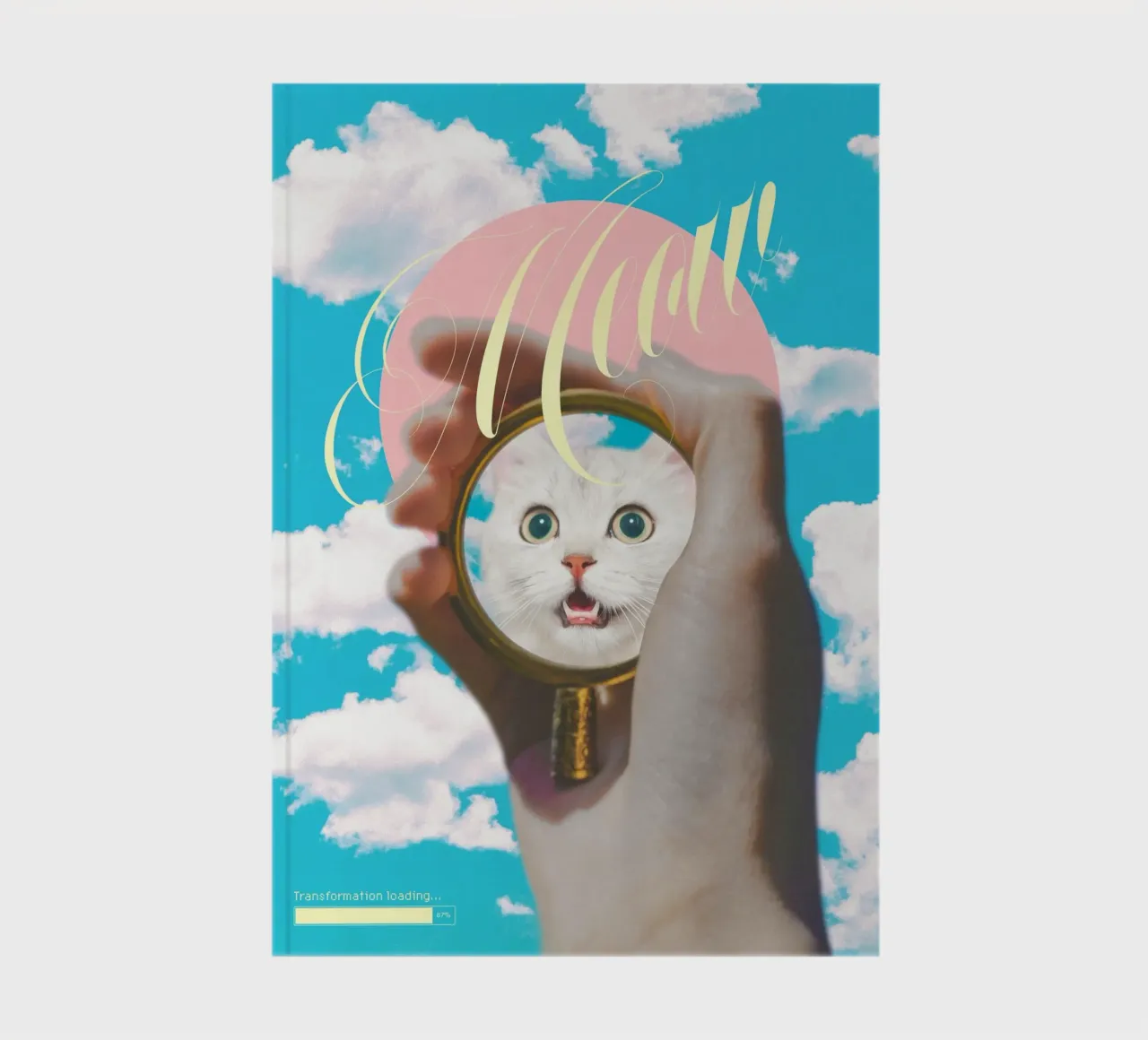 Meow! Cat Transformation notebook by MsGonzalez