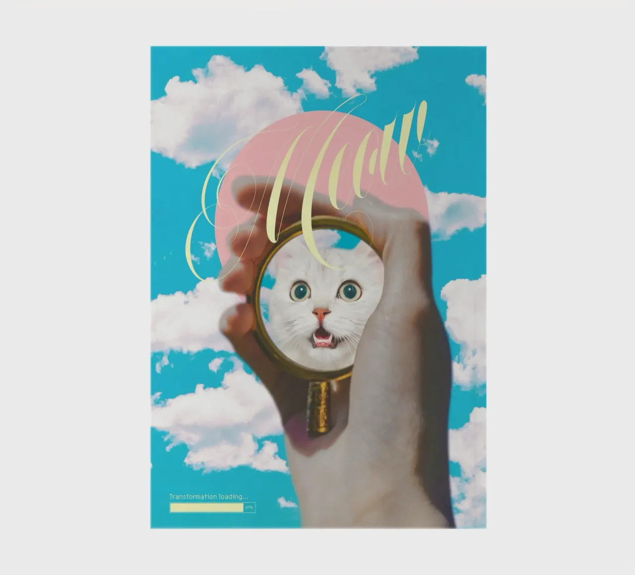 Meow! Cat Transformation notebook by MsGonzalez