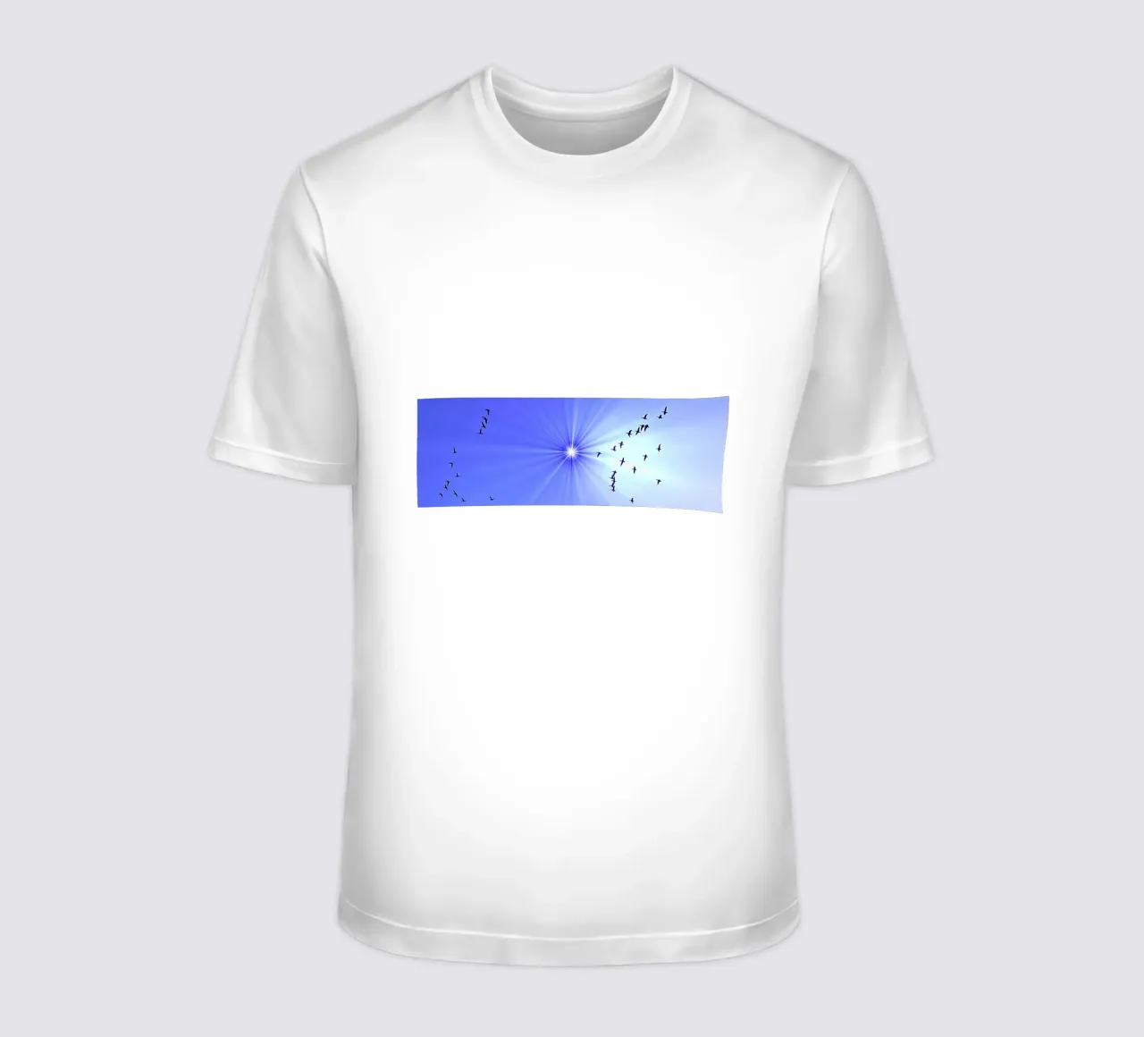 FAA344 OCHE BARBARE IN VOLO. t-shirt da Thierry vobmann photography