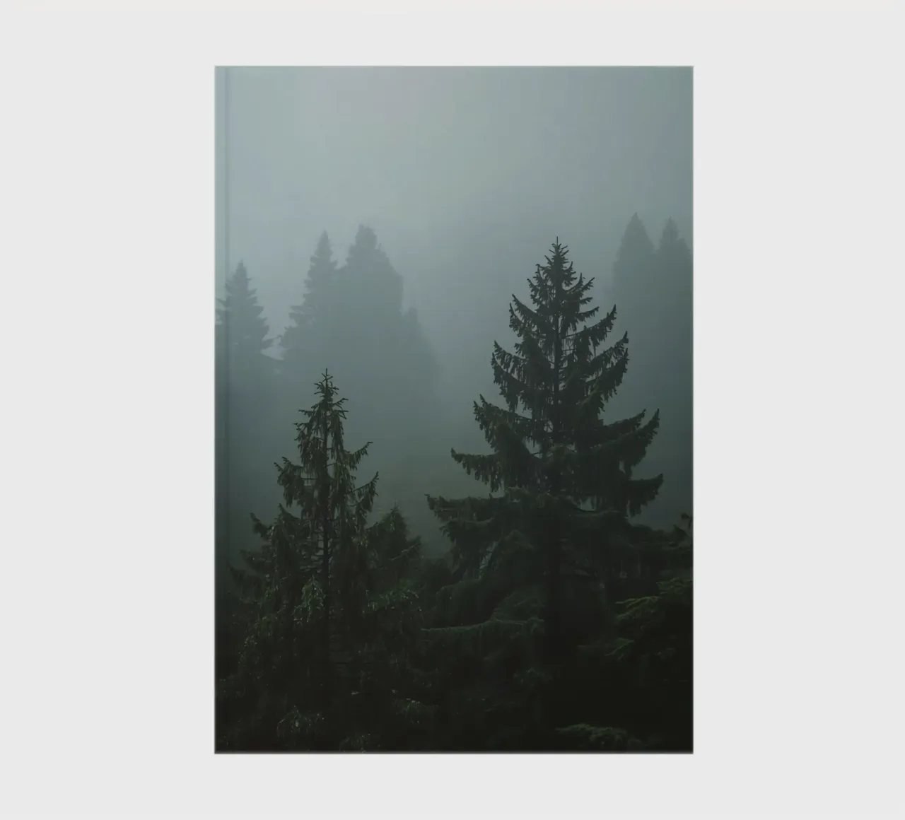 Evergreen Trees in Fog notebook by DesignDoodle