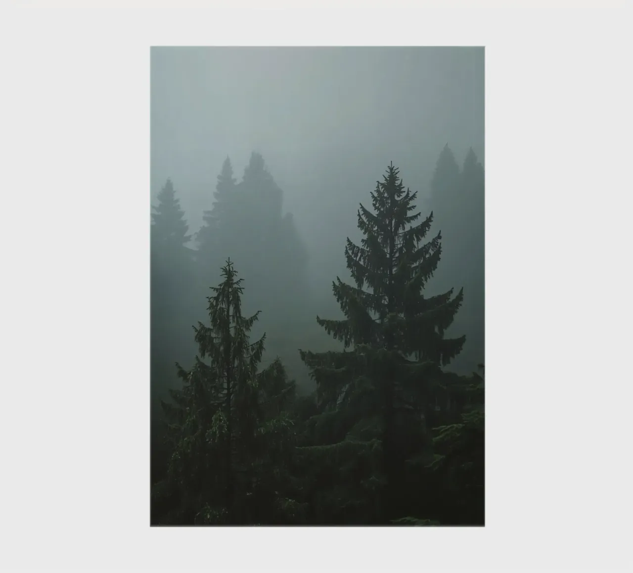 Evergreen Trees in Fog notebook by DesignDoodle