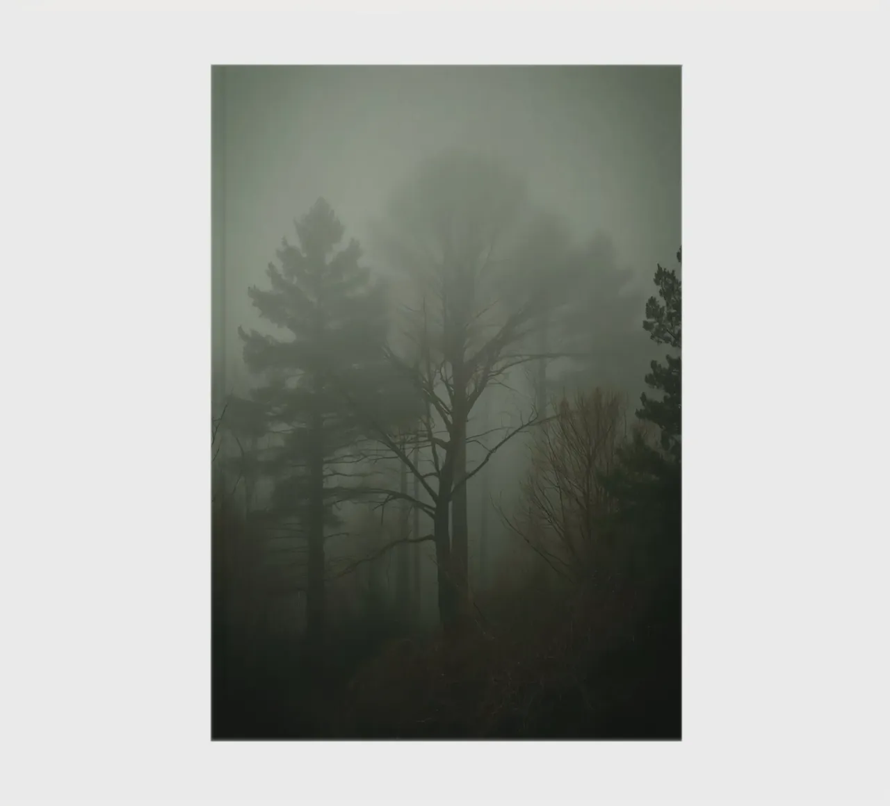 Foggy Forest with Pine and Bare Trees notebook by DesignDoodle