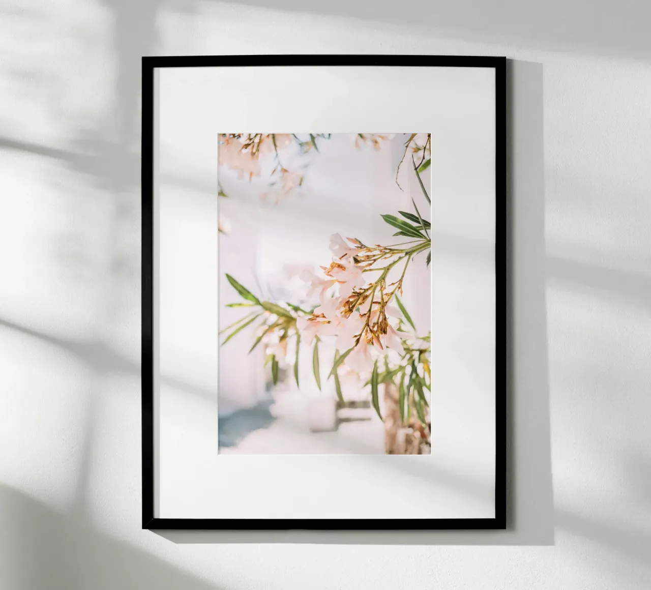 Oleandro bianco in Grecia | arte floreale minimalista da parete poster con telaio in plastica da patiphotography