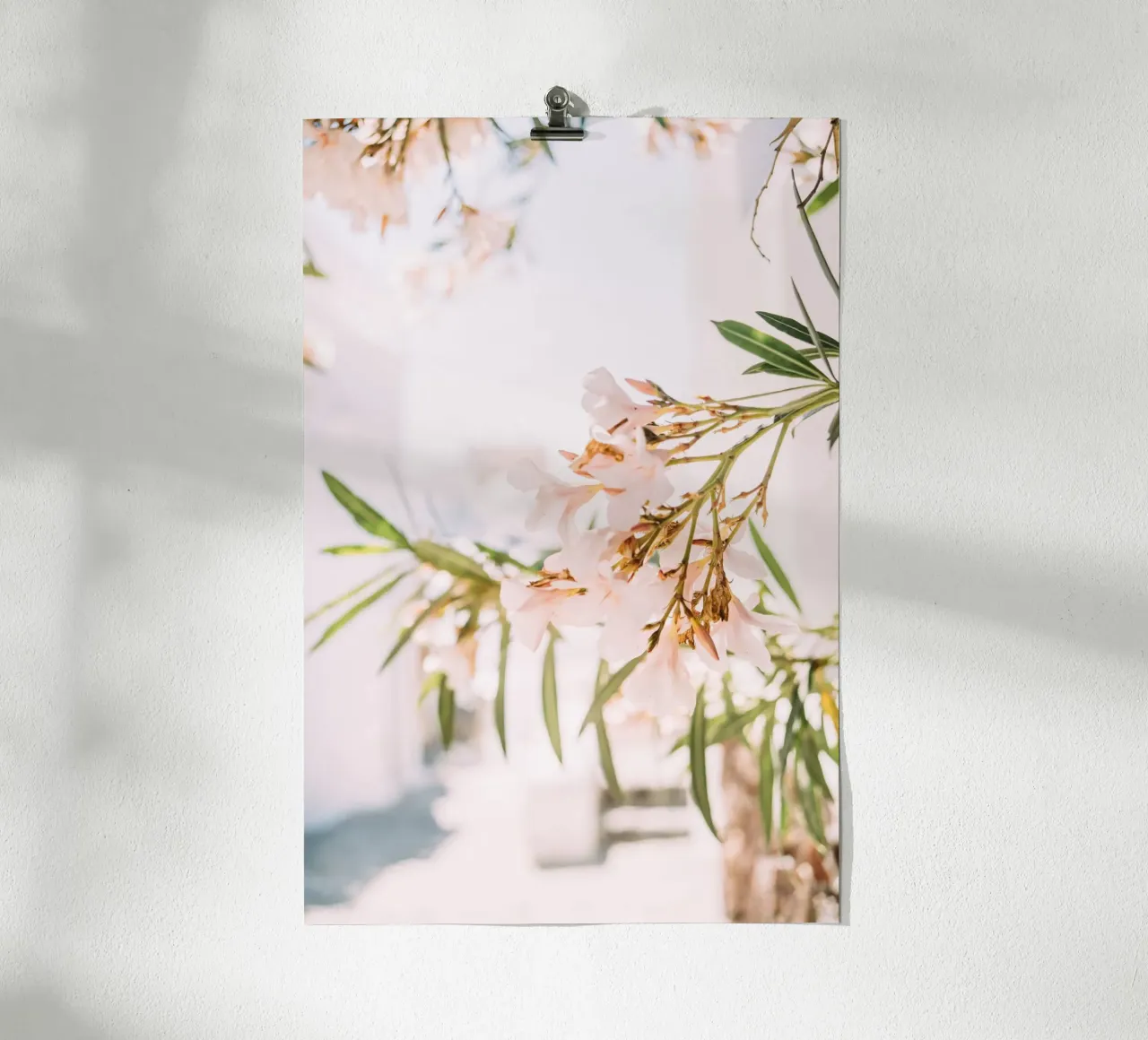 Oleandro bianco in Grecia | arte floreale minimalista da parete poster con telaio in plastica da patiphotography