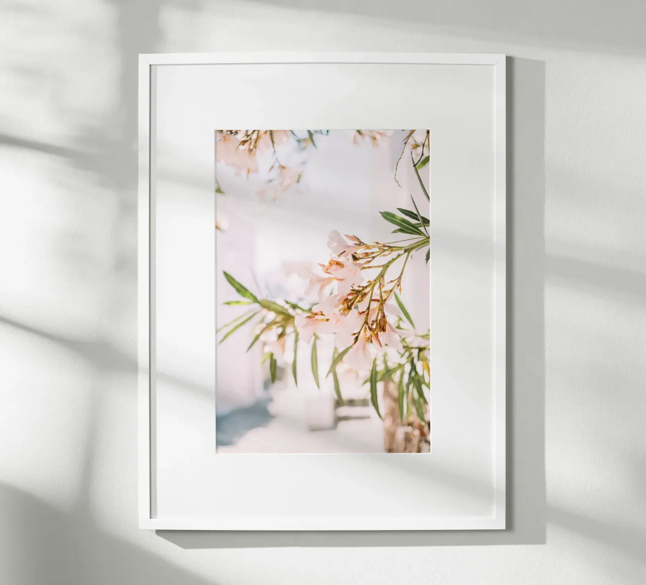 Oleandro bianco in Grecia | arte floreale minimalista da parete poster con telaio in plastica da patiphotography