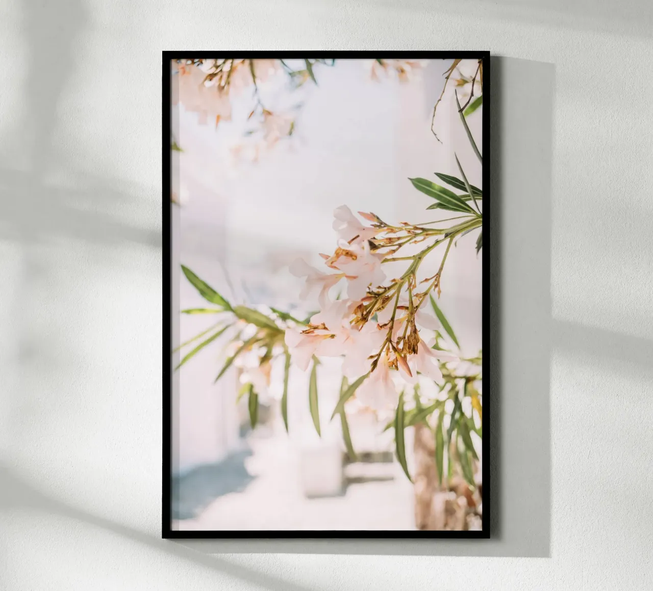Oleandro bianco in Grecia | arte floreale minimalista da parete poster con telaio in plastica da patiphotography
