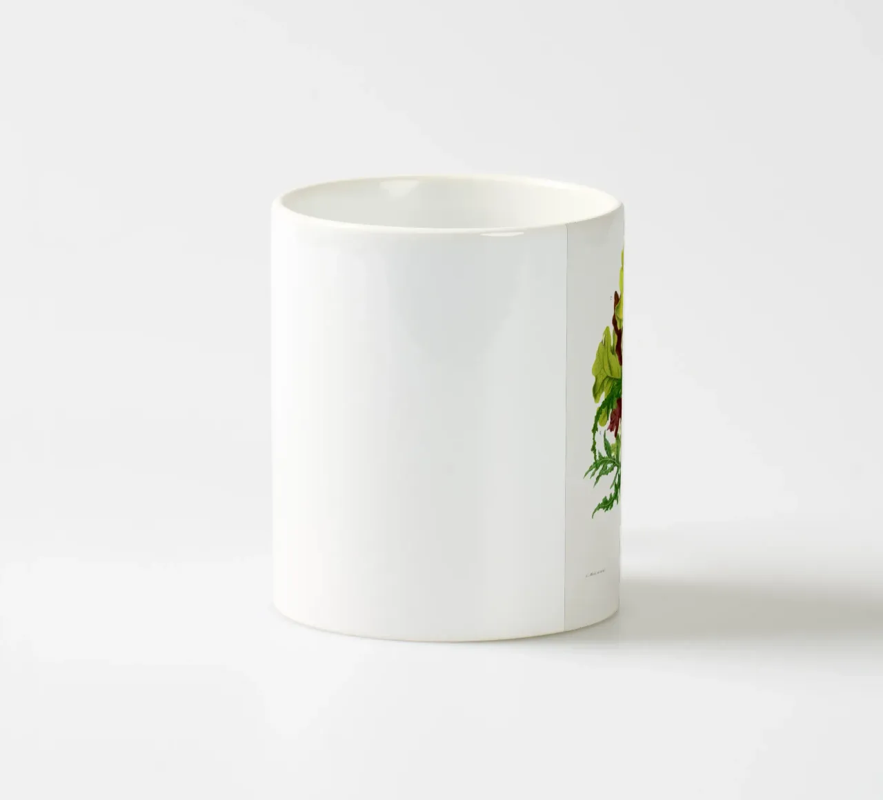 Quercus Pedunculata Var tazza in ceramica da vintageshop