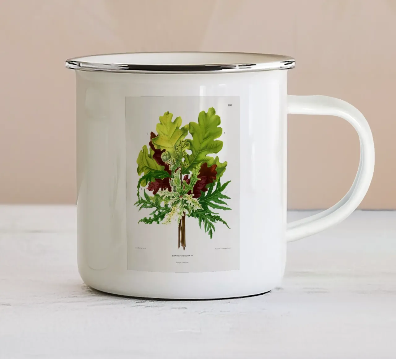 Quercus Pedunculata Var tazza in smalto da vintageshop