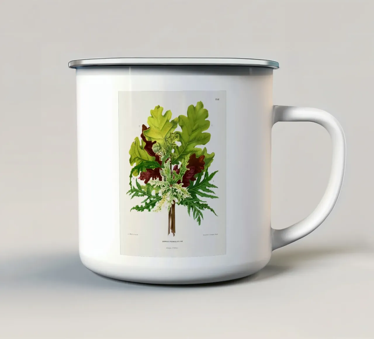 Quercus Pedunculata Var tazza in smalto da vintageshop