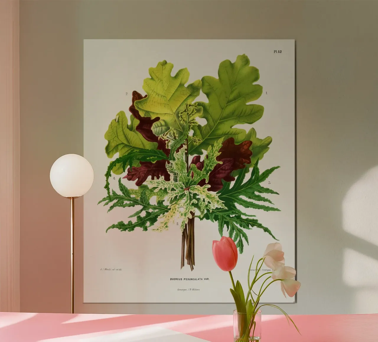 Quercus Pedunculata Var poster da vintageshop