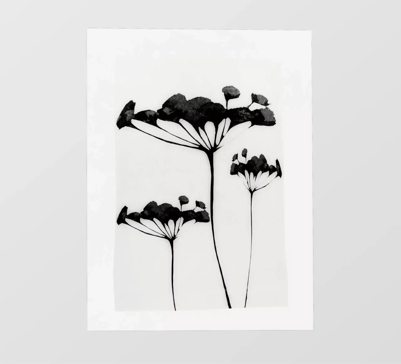 Arte astratta Pianta minimale 118 pellicola backlit da ThingDesign