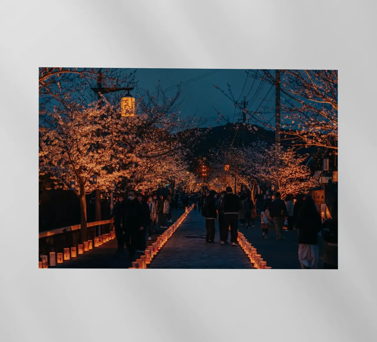 Tempio dei ciliegi in fiore di notte - Kumamoto, Giappone pellicola backlit da Marcel Bisig