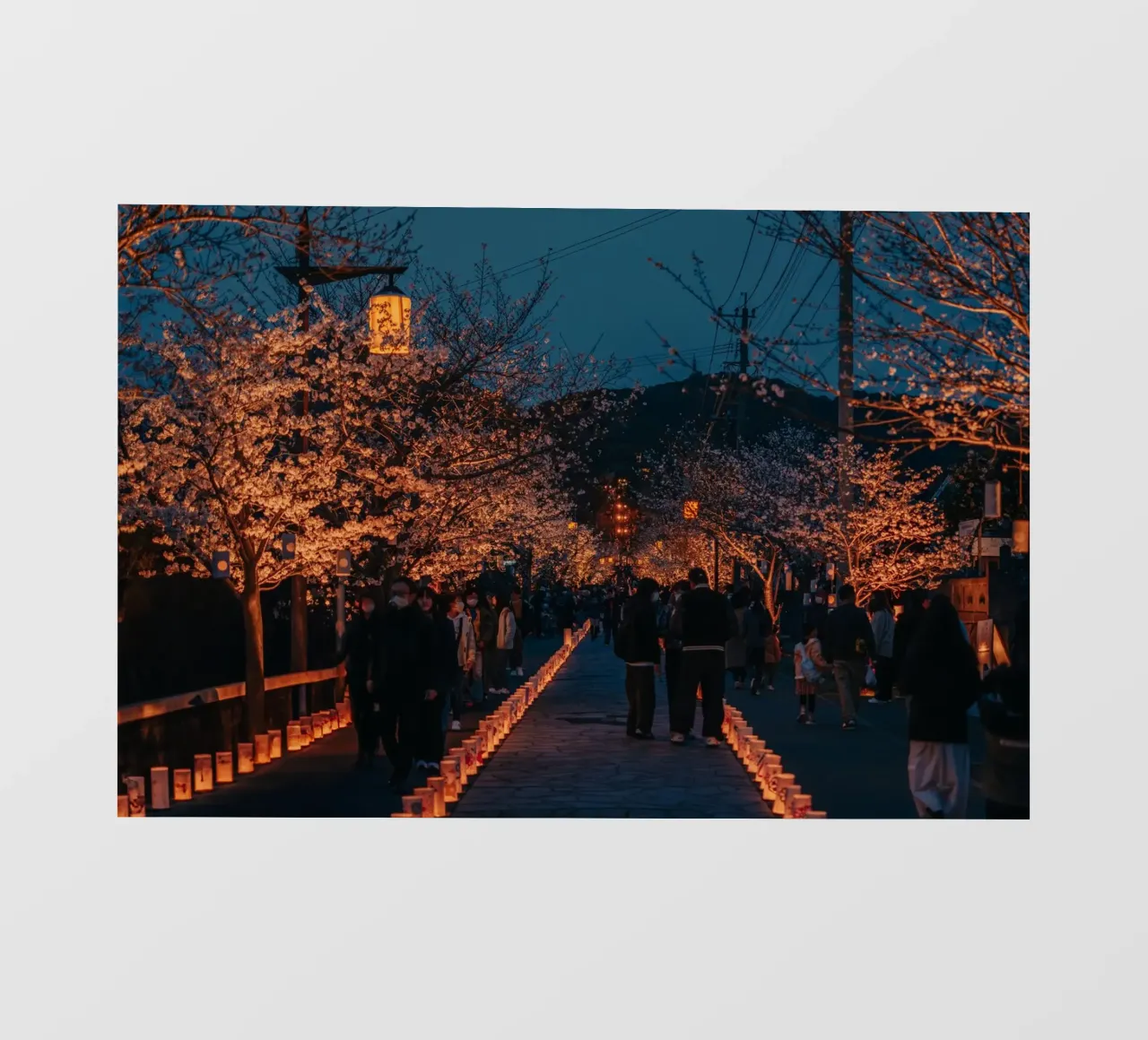 Tempio dei ciliegi in fiore di notte - Kumamoto, Giappone pellicola backlit da Marcel Bisig