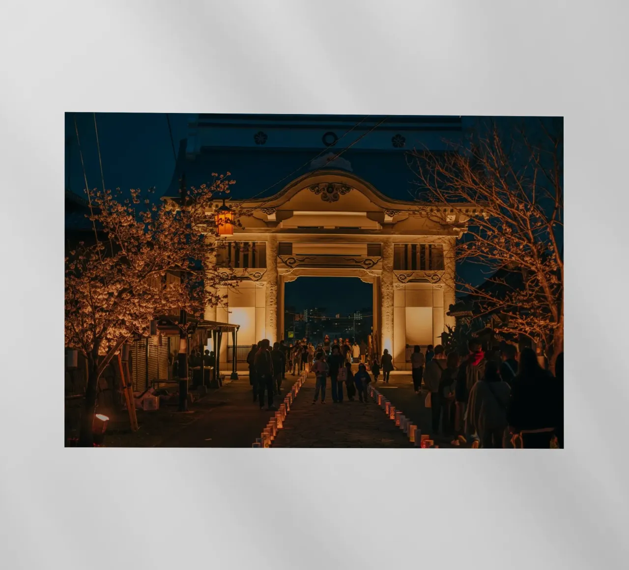 Tempio notturno dei ciliegi in fiore - Kumamoto, Giappone pellicola backlit da Marcel Bisig