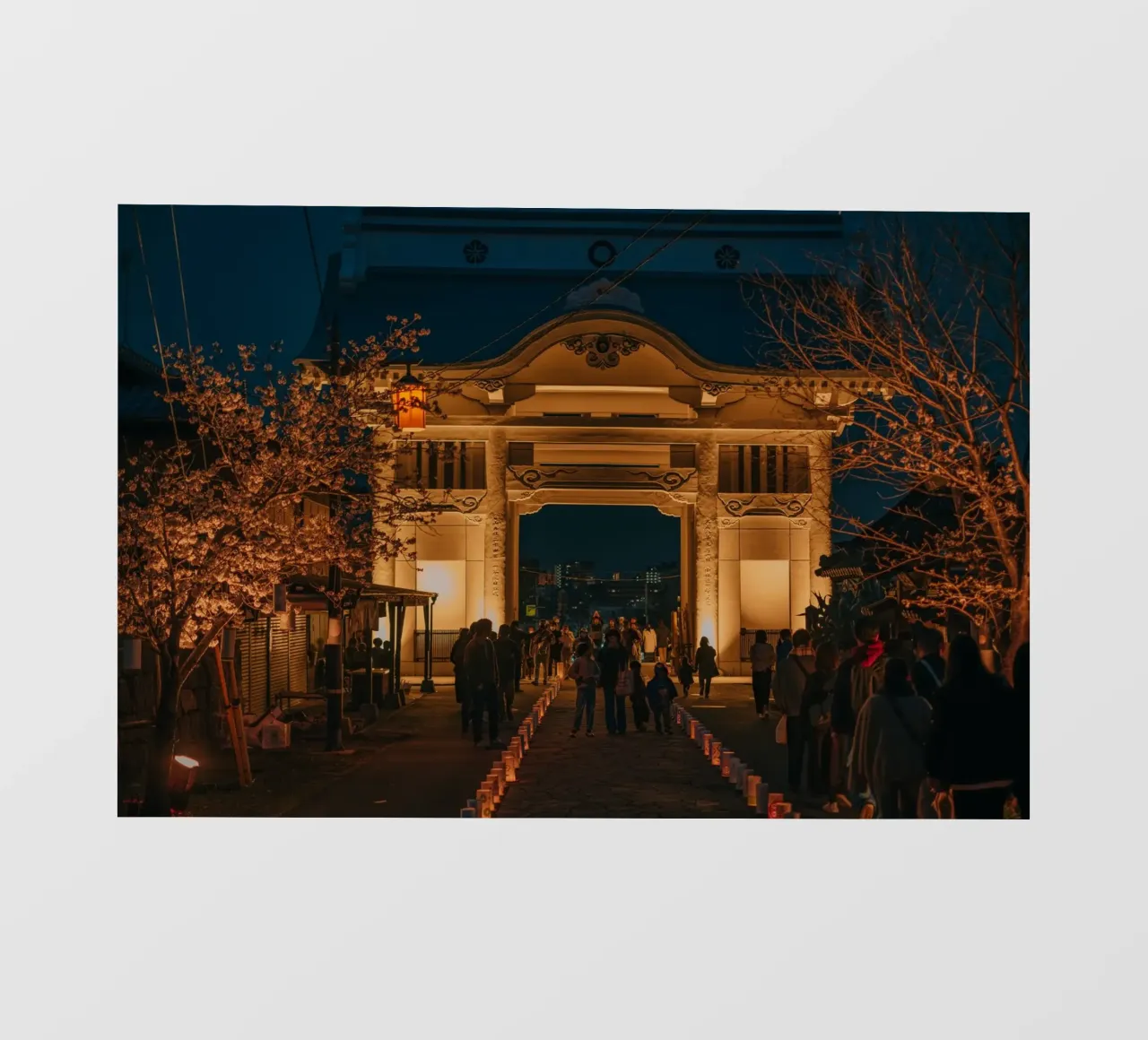 Tempio notturno dei ciliegi in fiore - Kumamoto, Giappone pellicola backlit da Marcel Bisig