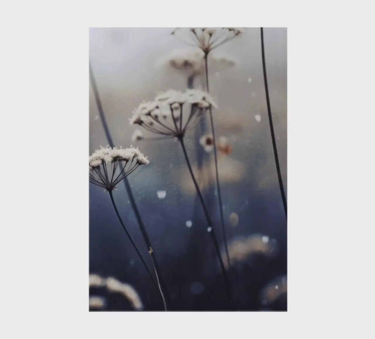 Nostalgic Nature No 16 diario da treechild