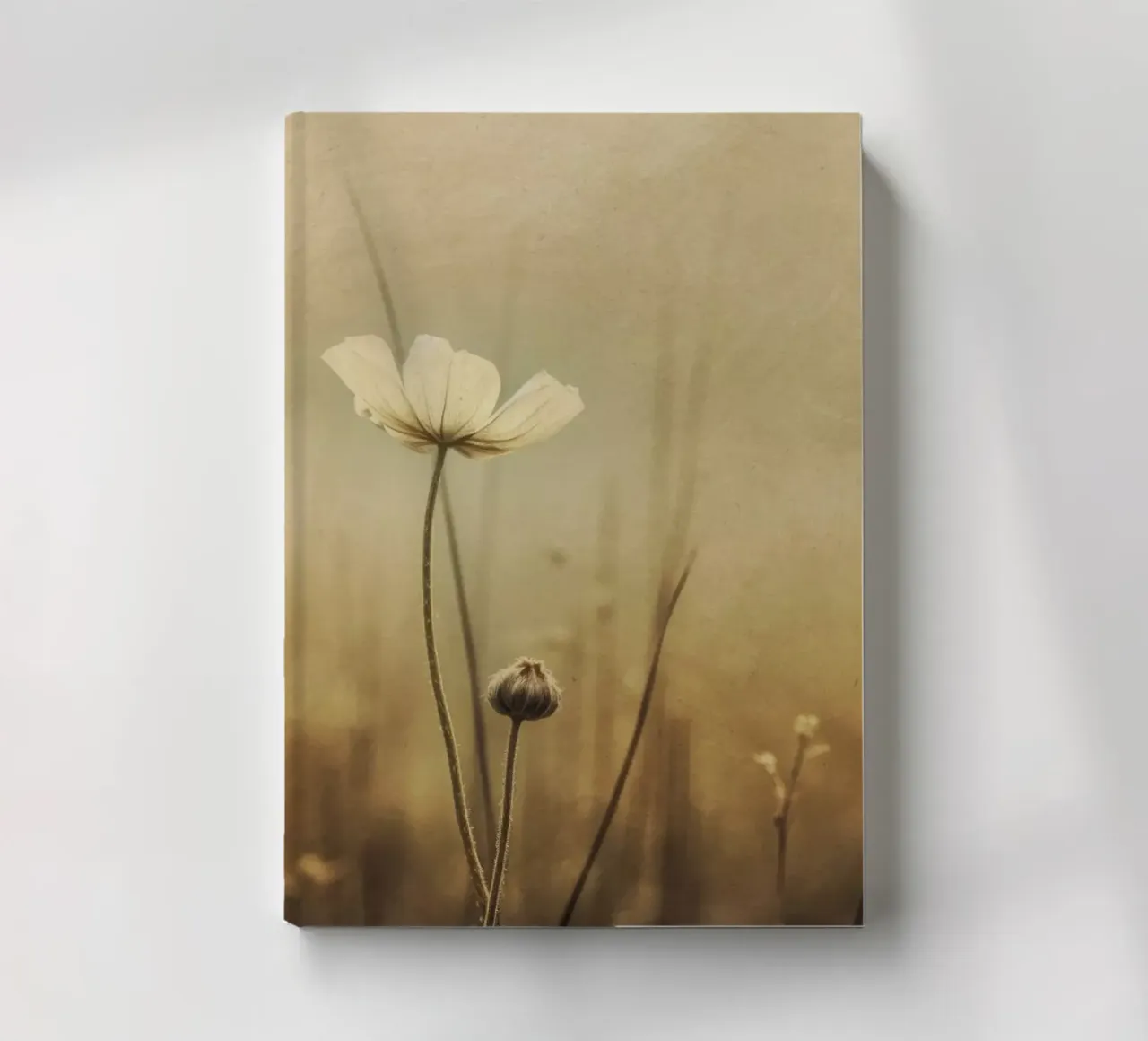 Nostalgic Nature No 12 diario da treechild