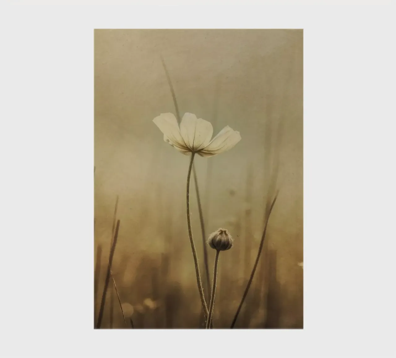 Nostalgic Nature No 12 diario da treechild