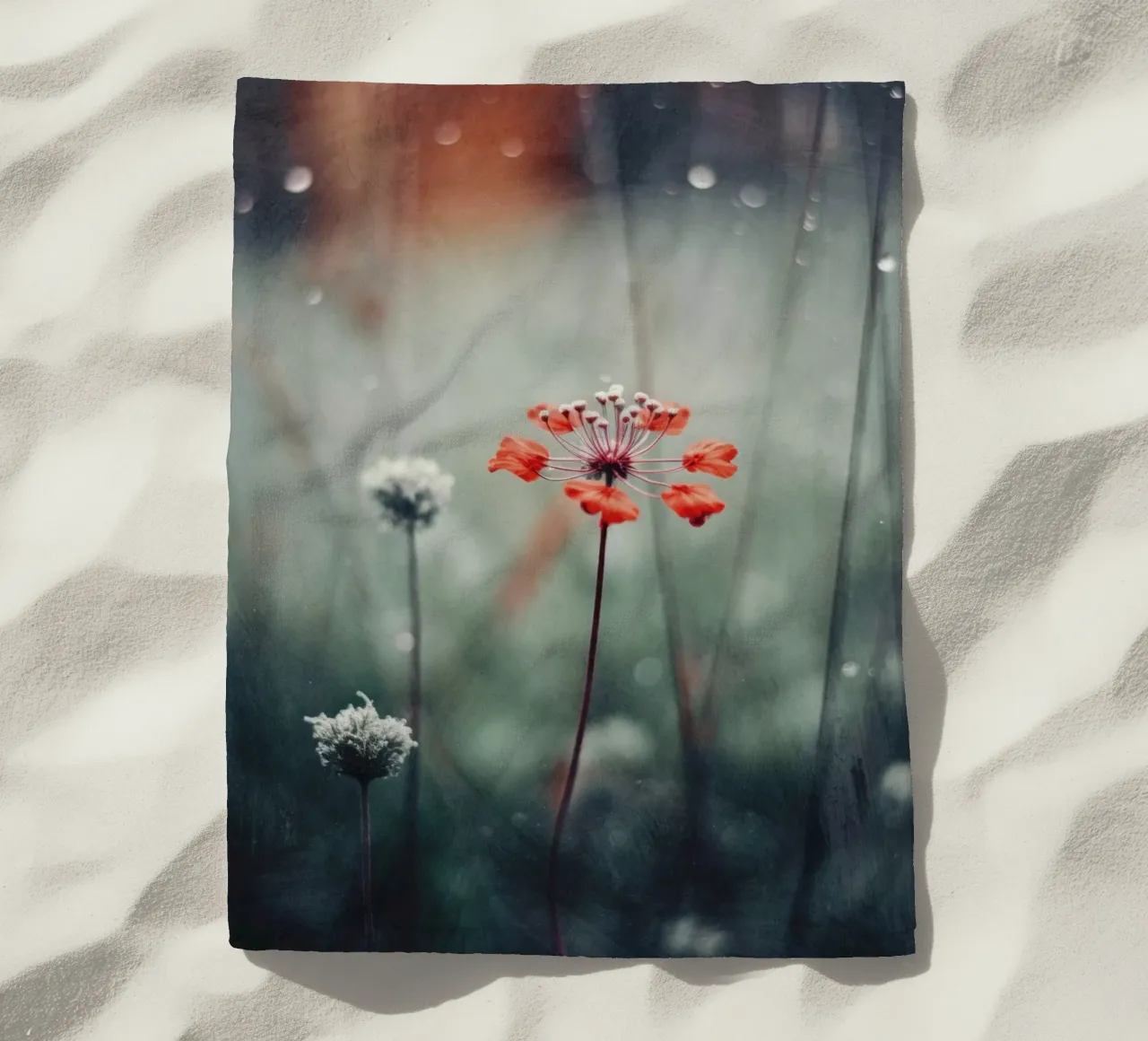 Nostalgic Nature No 11 telo mare da treechild