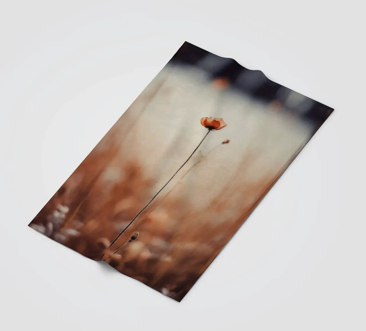 Nostalgic Nature No 10 coperta in pile da treechild