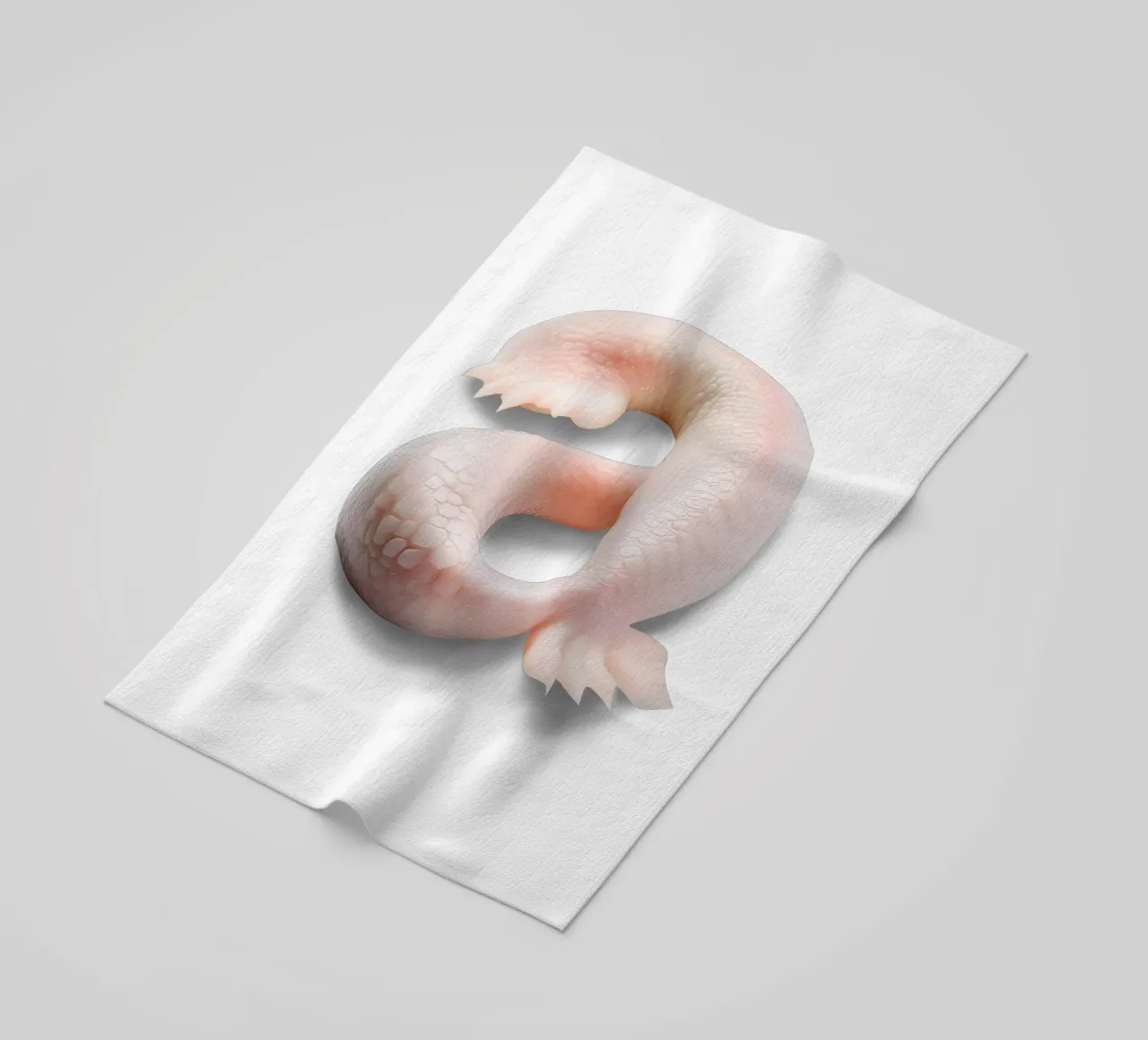 a - axolotl telo mare da The True Type