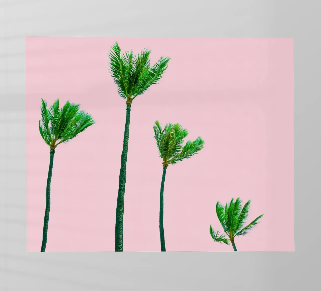 Palm Trees Blown By The Wind pellicola backlit da robertmotoiart