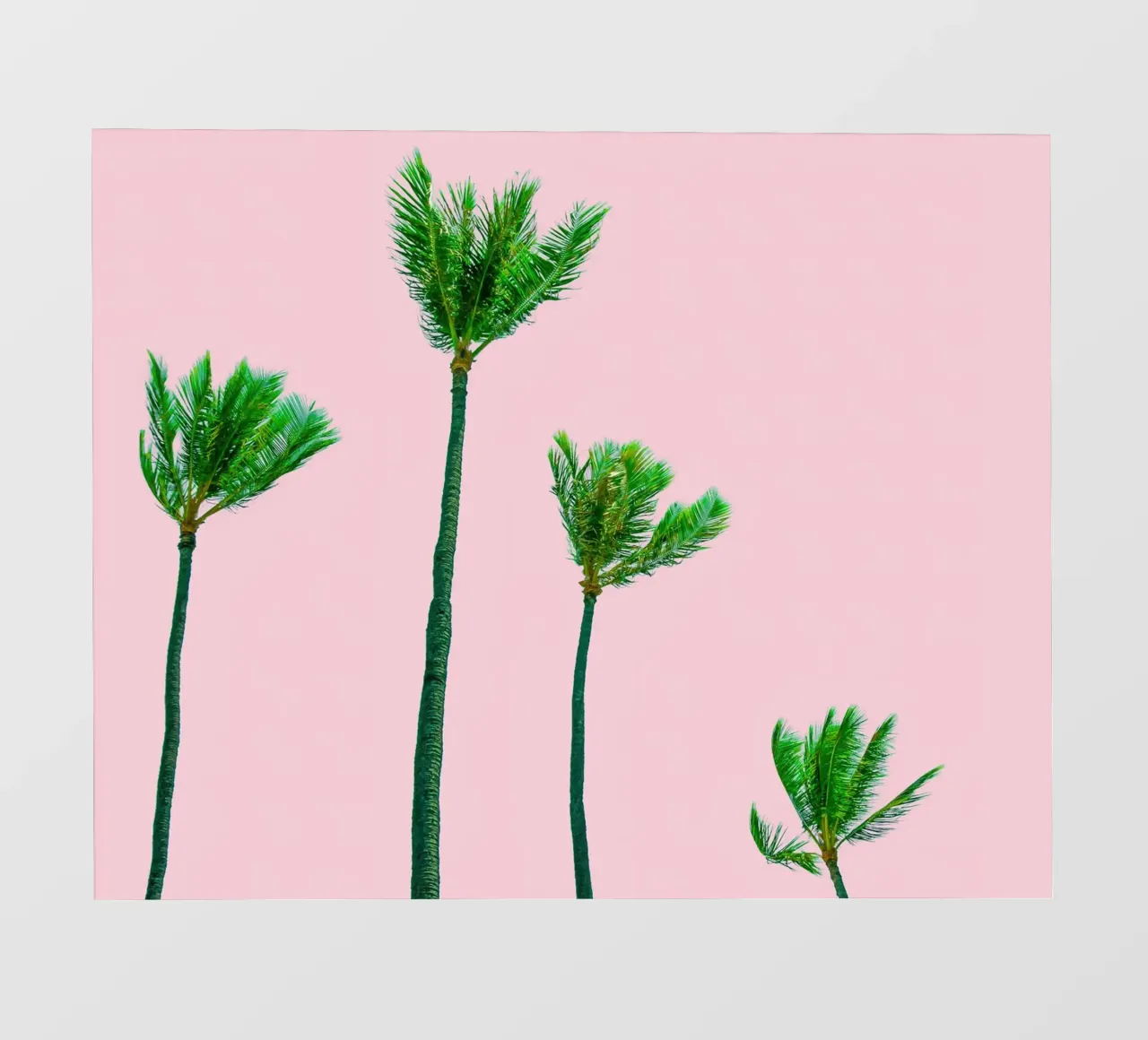 Palm Trees Blown By The Wind telo in pvc da robertmotoiart