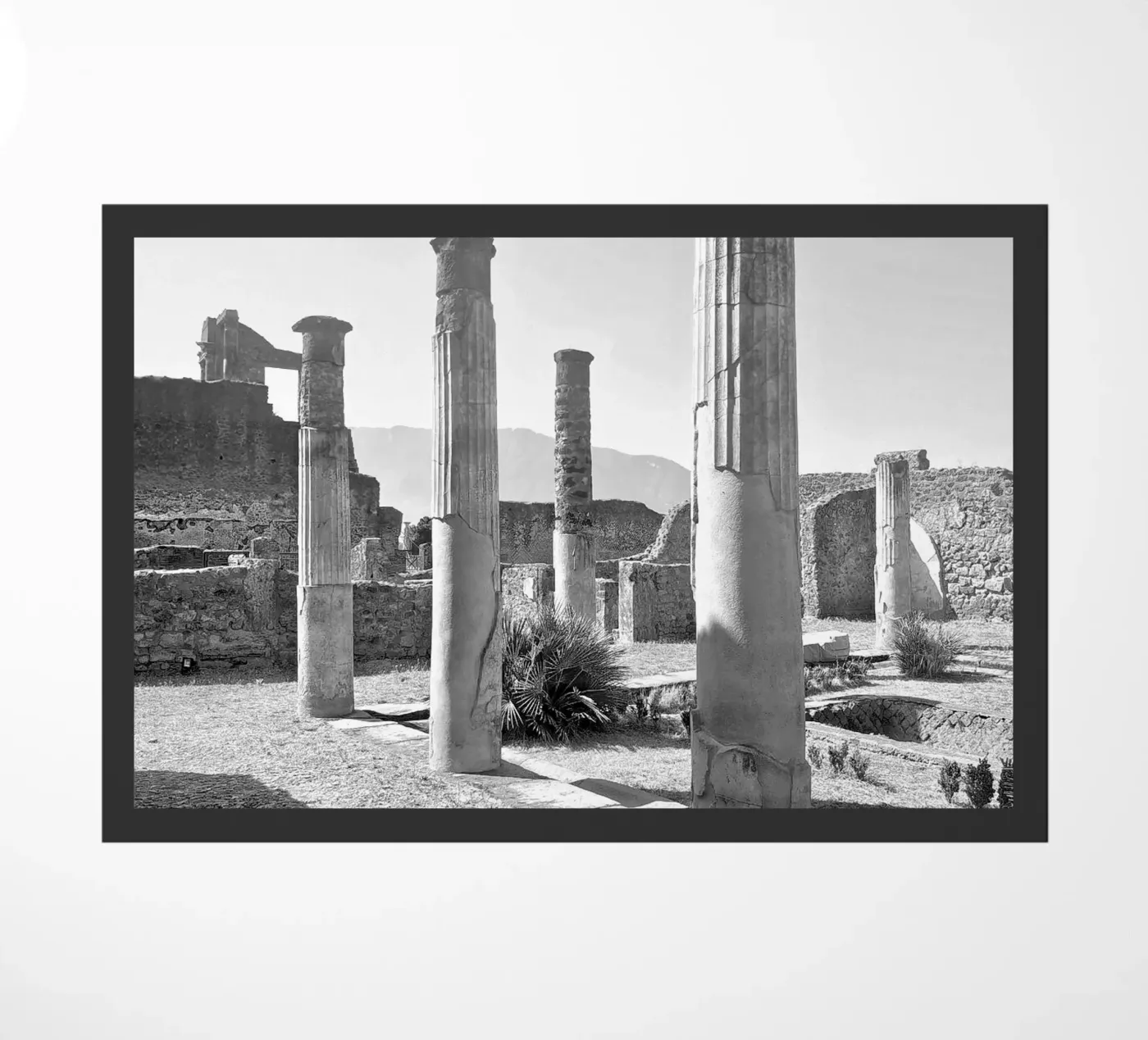 Pompeii deurmat van travelloop