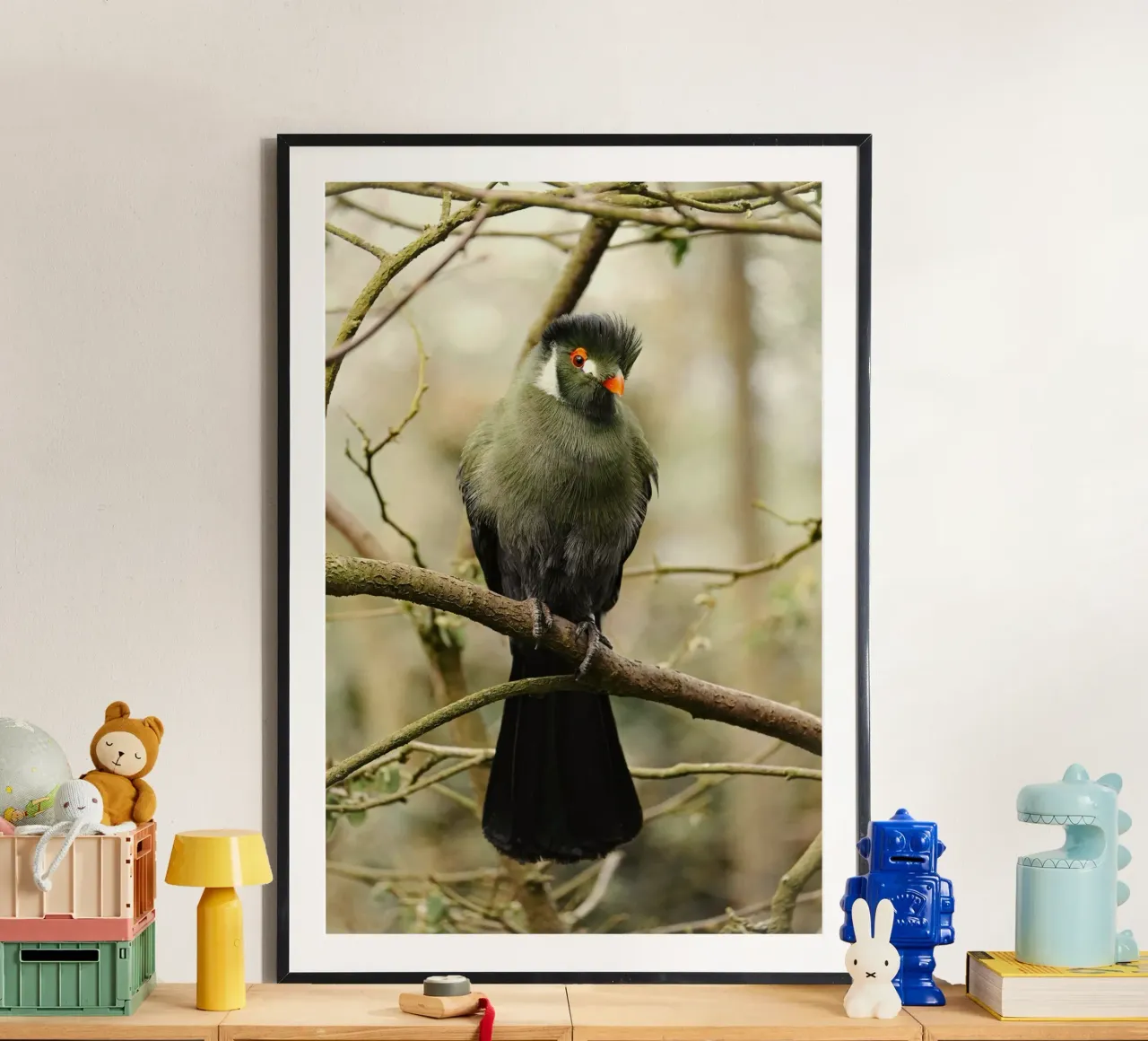 uccello turaco poster con telaio in plastica da Earthly Visions