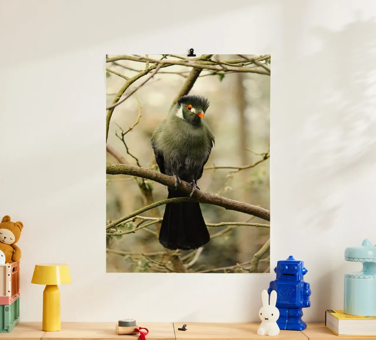 uccello turaco poster con telaio in plastica da Earthly Visions