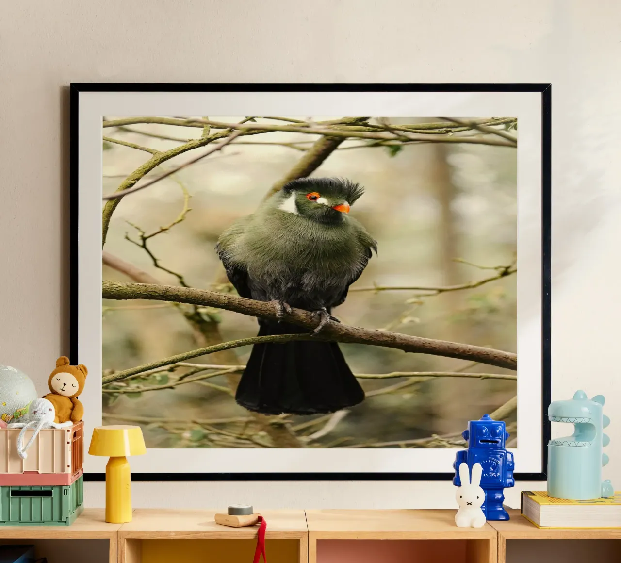 uccello turaco poster con telaio in plastica da Earthly Visions