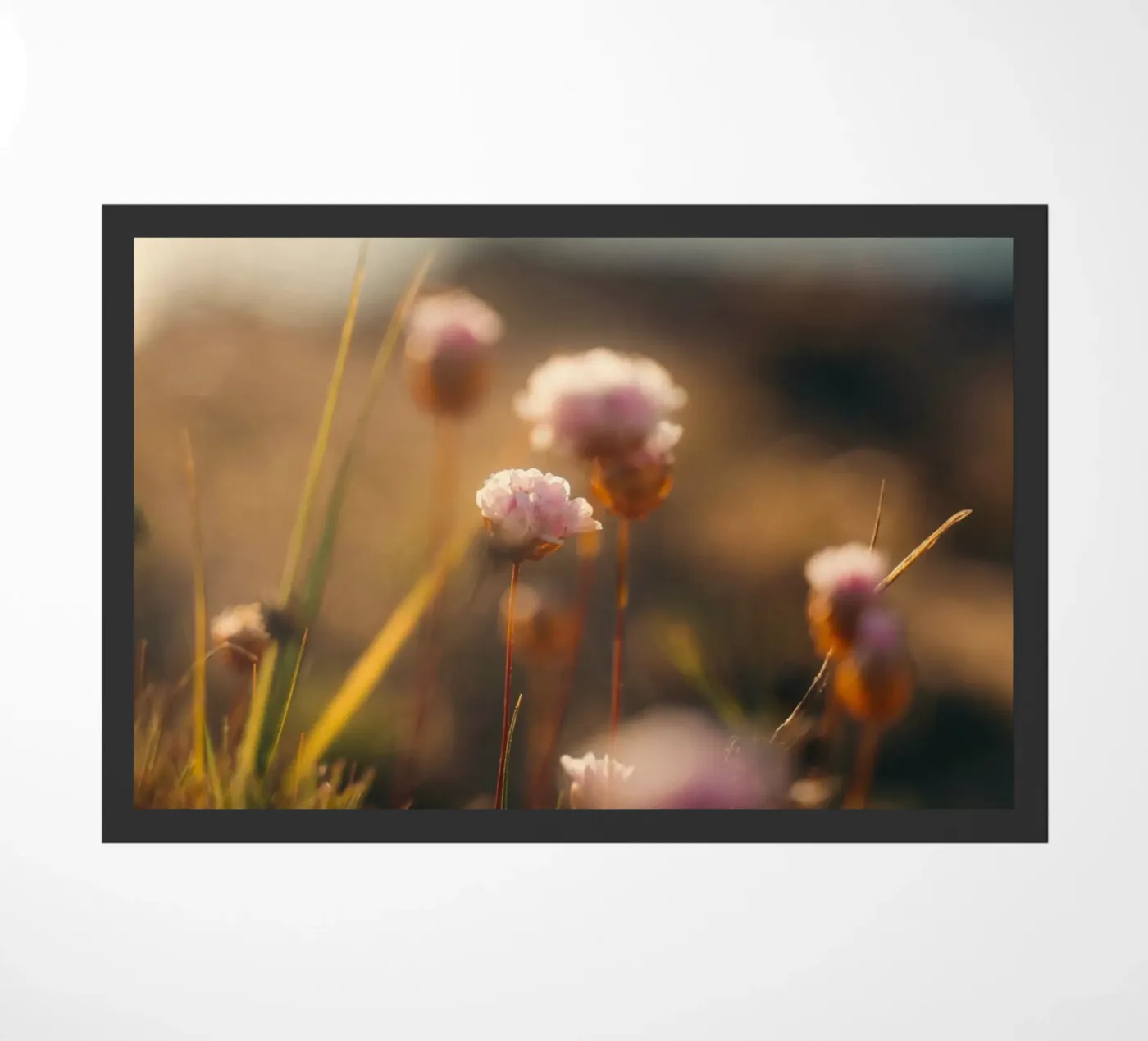 flowers sea zerbino da Earthly Visions