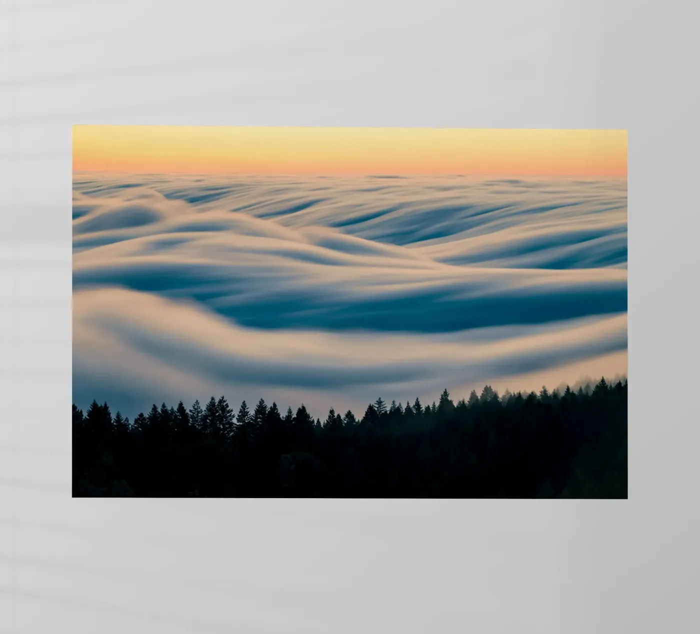 clouds forest backlit folie van Earthly Visions