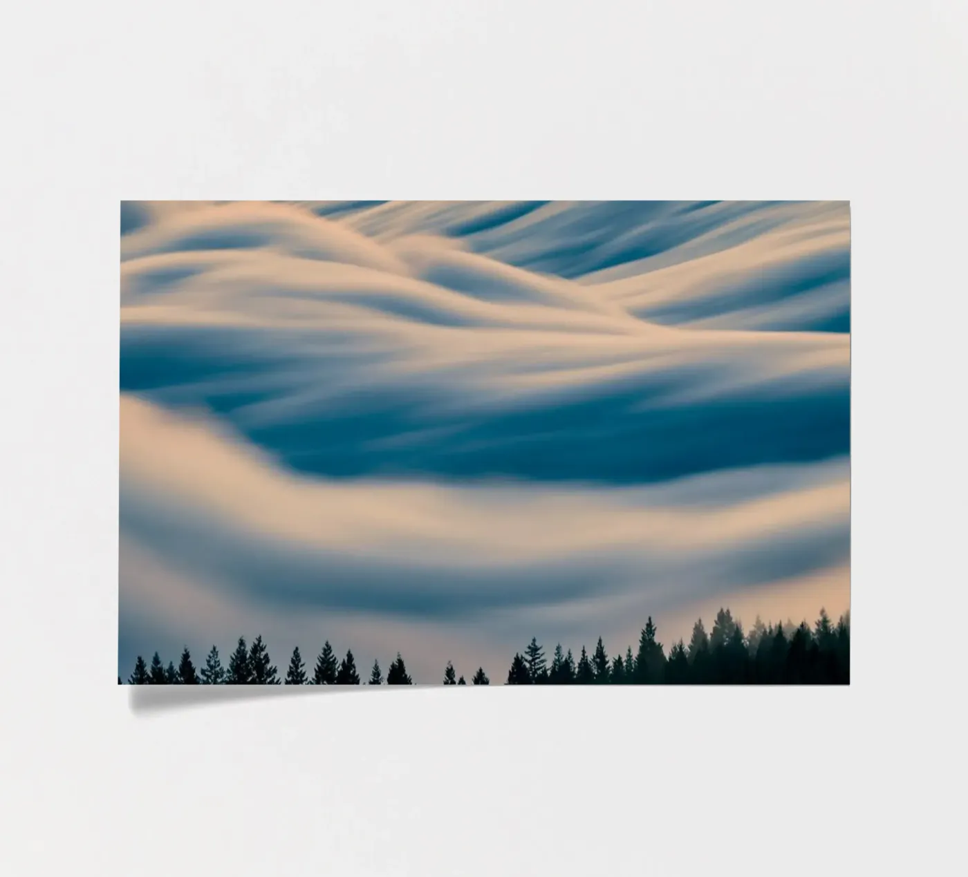 clouds forest planche autocollant de Earthly Visions