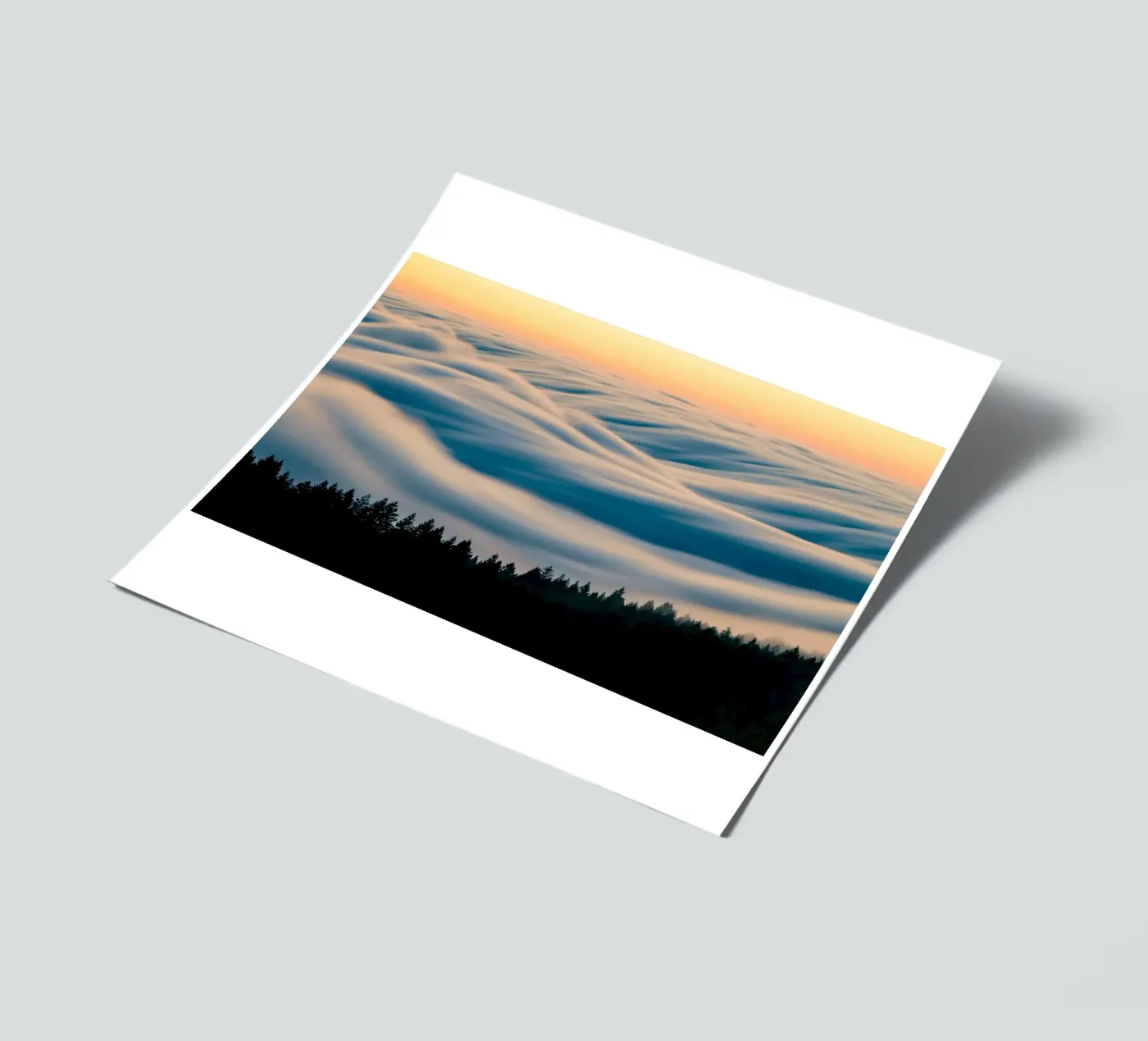 clouds forest planche autocollant de Earthly Visions