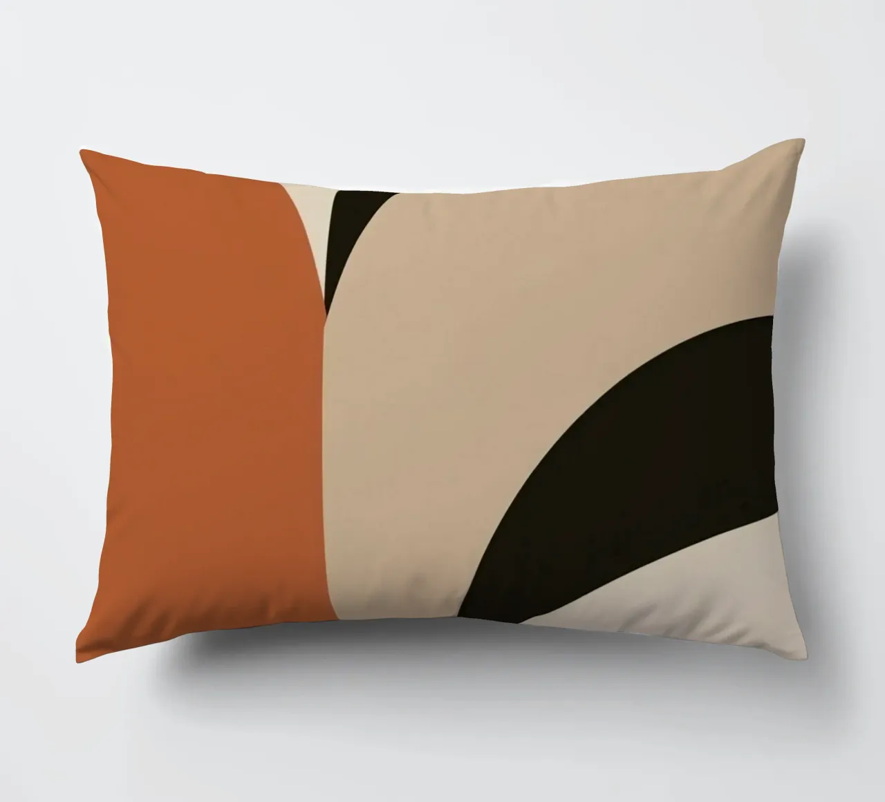 Abstract Geometric Composition with Circles and Rectangles decorative cushion by DesignDoodle
