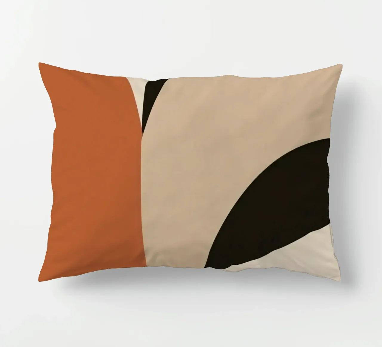 Abstract Geometric Composition with Circles and Rectangles decorative cushion by DesignDoodle