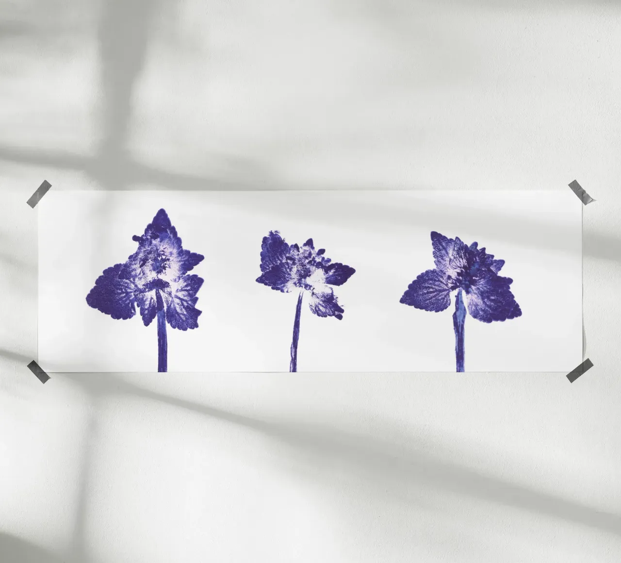 Impressioni botaniche | Lamium purpureum trio v1 poster da Ivona Maris