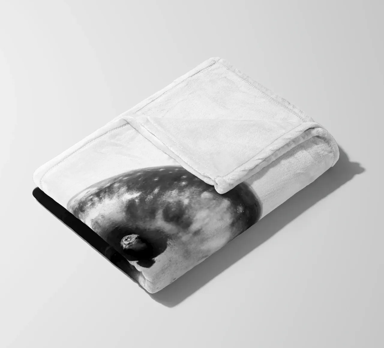 Frucht #3 Fleecedecke von rafael campezato