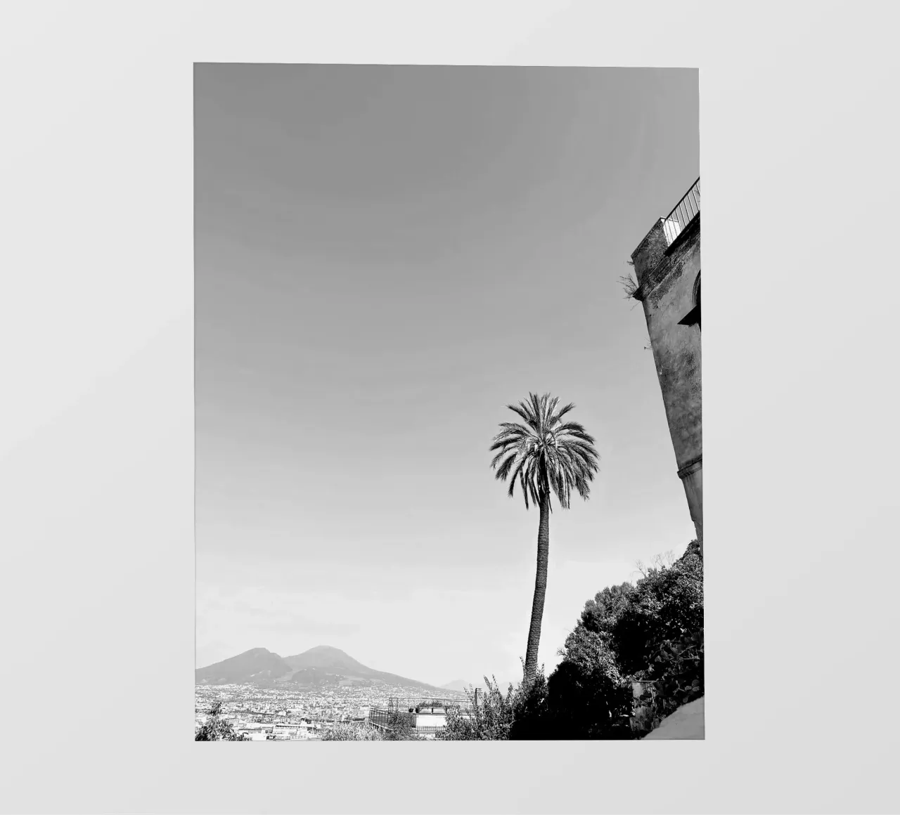 palmtree in napoli telo in pvc da Reiselust
