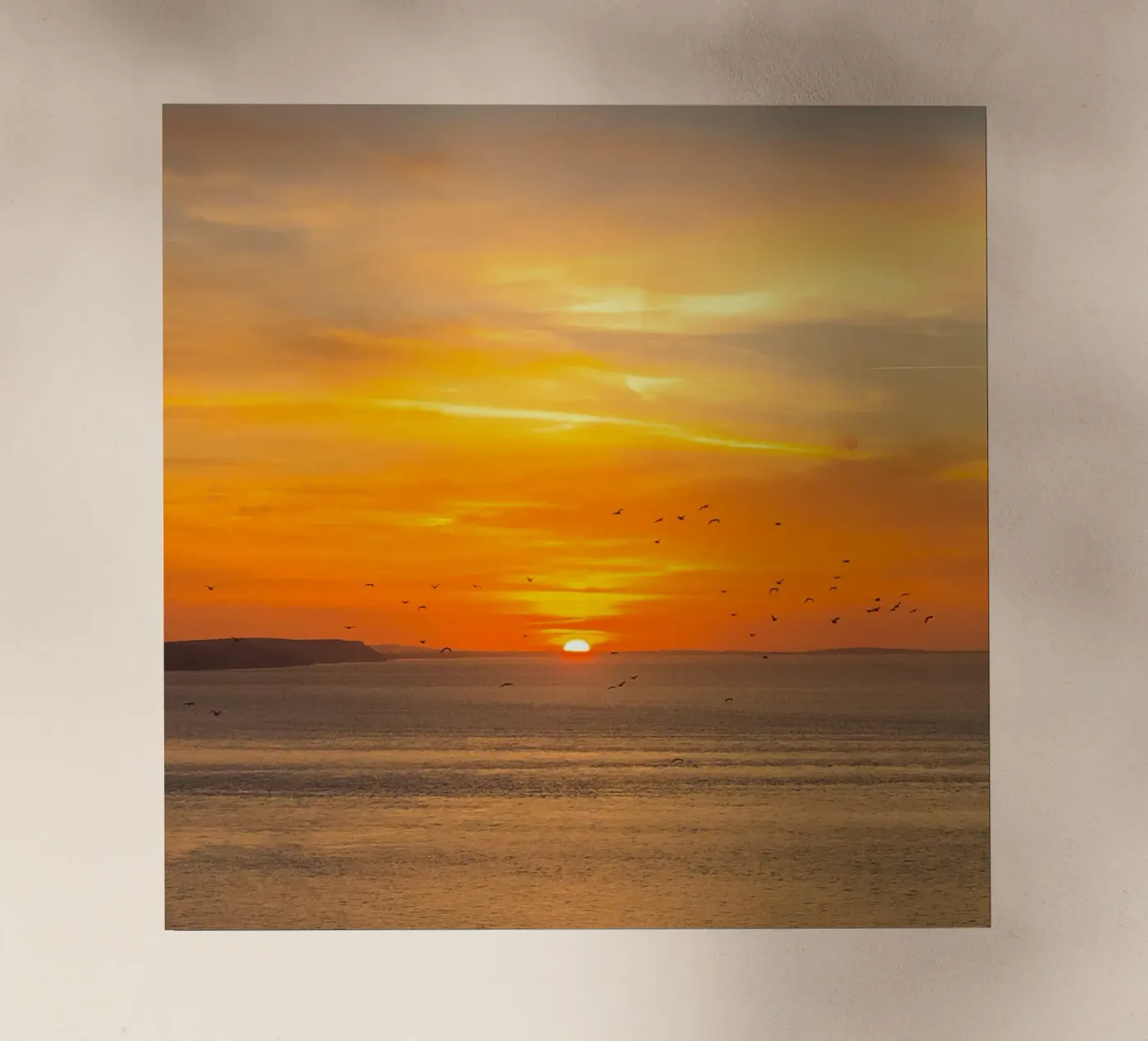 Sunset Coast pellicola backlit da Stay Positive Design