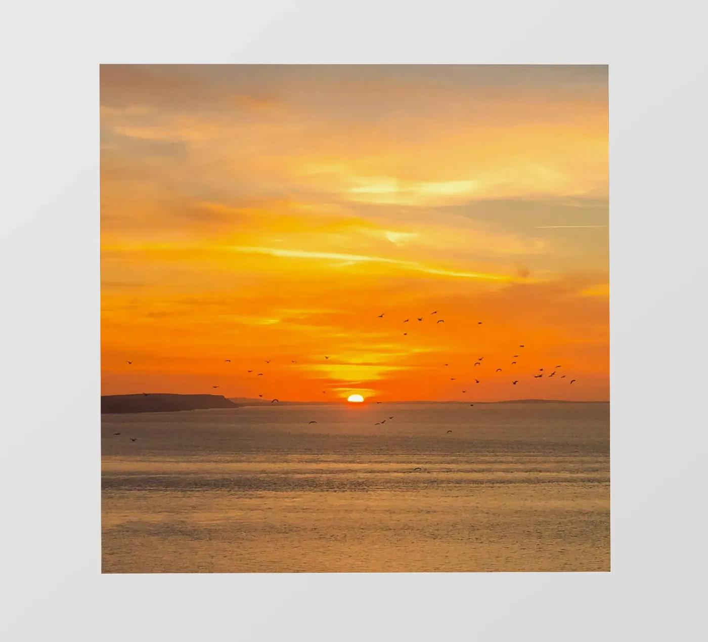 Sunset Coast pellicola backlit da Stay Positive Design