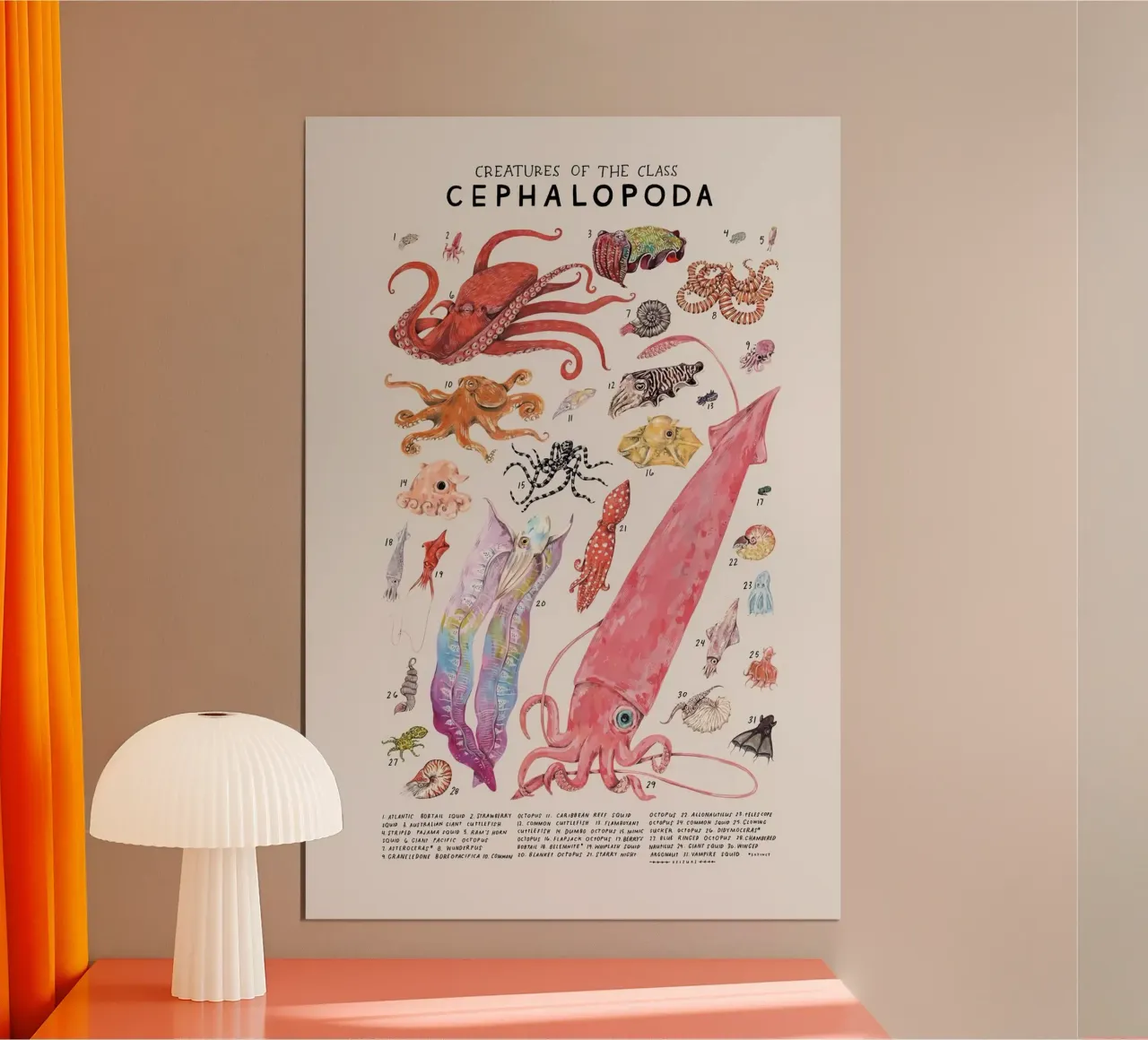 cefalopodi polpo poster da Amber Hughes