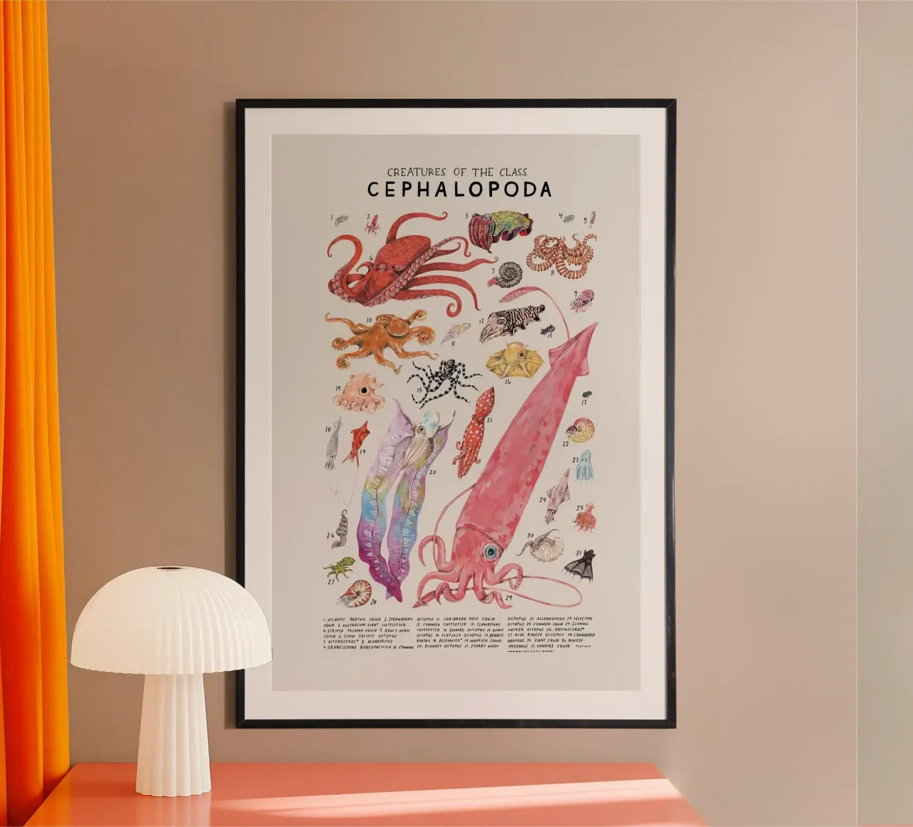 cefalopodi polpo poster da Amber Hughes