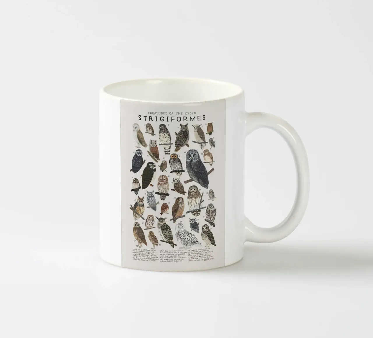 specie di uccelli tazza in ceramica da Amber Hughes