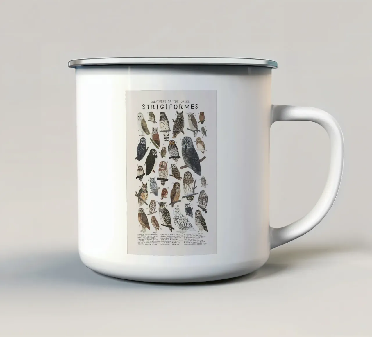 specie di uccelli tazza in smalto da Amber Hughes