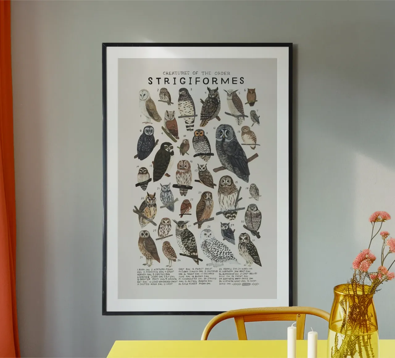 specie di uccelli poster con telaio in plastica da Amber Hughes