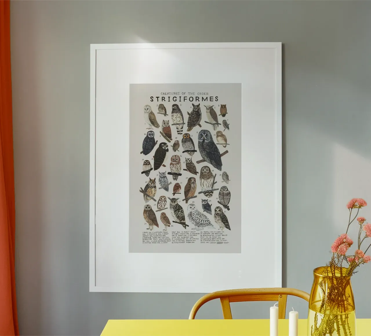 specie di uccelli poster con telaio in plastica da Amber Hughes